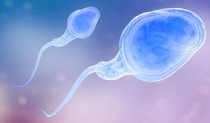 Los espermatozoides pueden estar presentes en el pre-eyaculado de un hombre
